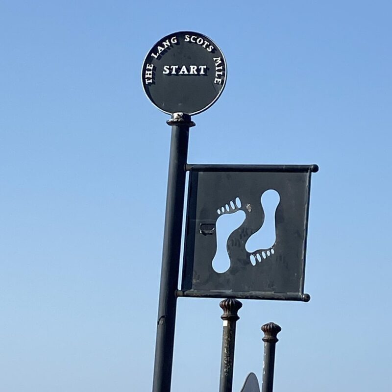 Epigenética: ¿Por qué soy como soy?