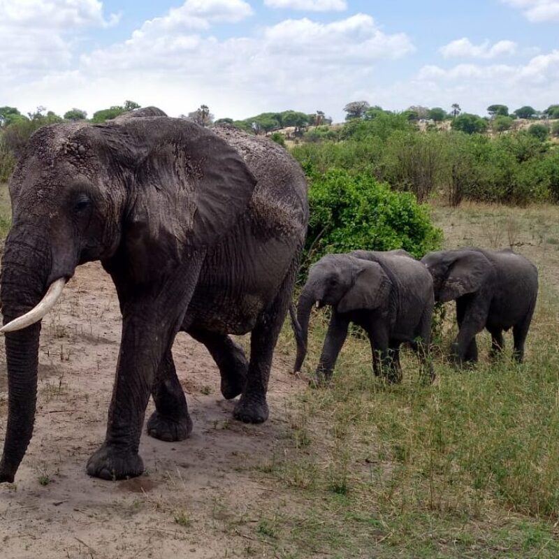 Quiero cambiar de Vida
